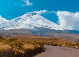 The last Inca emperor’s tomb was found