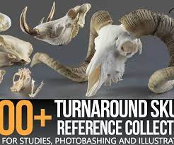 Artstation 1200 Turnaround Skull Collection Reference Pictures Resources In 2021 Animal Skulls Skull Reference Pictures