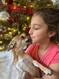 Poppy is ready for Christmas 🎅🏻