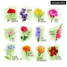 Maybe you would like to learn more about one of these? February And August Birth Flower Tattoo Novocom Top