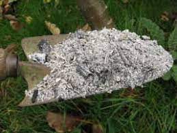 Using Wood Ash In The Vegetable Garden Plants Vegetable Garden Garden Compost