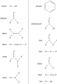 Common Functional Groups In Organic Chemistry For Dummies Organic Chemistry For Dummies Organic Chemistry Study Organic Chemistry