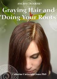 Important factors to consider in a henna hair dye. Ancient Sunrise Chapter 9 Gray Hair And Roots Henna Hair Dyed Natural Hair Covering Gray Hair