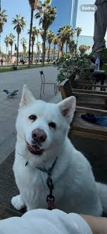 Can anyone recommend a good dermatologist in Estepona? 🙏🏻 thank you in  advance