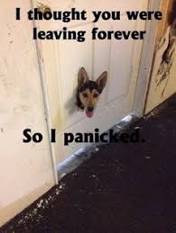 40 Memes Ideas Borderline Personality Disorder Disorder Quotes Borderline Personality Disorder Quotes