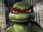 Are these known turtle aernate costumes? Xnelksqpqzq5cm