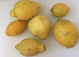 Citrons Bio Recettes De Cuisine Recette Citronnade Recette Citron