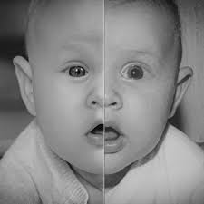 Amazing Photography Project titled “Genetic Portraits” Series made by Ulric  Collette @ulriccollette @geneticportraits 📸💭 Since 2008, Ulric Collette  shoot 2 Family Members and merged their faces together, creating a Family  Portrait resemblance