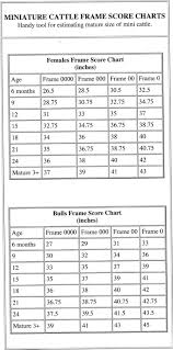Mini Cattle Frame Score Charts Miniature Cattle Cattle Mini Cows