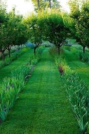 Timeline Photos Stoneman S Garden Centre Facebook Beautiful Gardens Garden Inspiration Outdoor Gardens