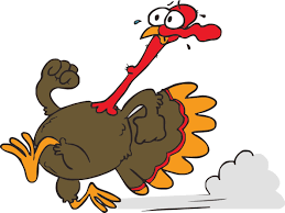Funny Cartoon Turkeys Funny Thanksgiving 7 Day Workout Thanksgiving Quotes