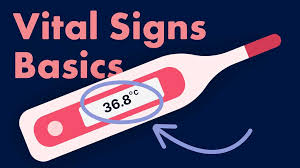 Image result for Vital Sign