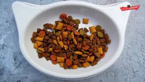 Wet and dry diarrhea cat food review. What Do British Shorthair Cats Eat Recommended Food List My British Shorthair