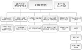 Dami Zxm Org Chart