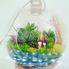 Terrarium Teraryum Kisiye Ozel Teraryum Calismasi Aile Teraryum With A Special Water Effect Family Concept Instagra Teraryumlar Terrarium Minyatur Bahceler