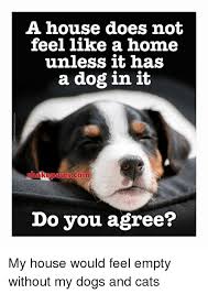 Check spelling or type a new query. A House Does Not Feel Like A Home Unless It Has A Dog In It Shakepawscom Do You Agree My House Would Feel Empty Without My Dogs And Cats Cats Meme