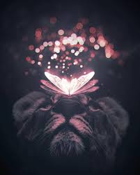 Magical Looks Awesome In My Opinion Creartist Dydyorella Selected By Enomyx Want To Get Animal Wallpaper Animals Beautiful Animals