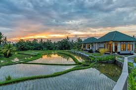 Contoh desain rumah di kampung tidak harus seperti rumah tradisional seperti zaman dahulu. Menilik Kelebihan Kekurangan Rumah Di Tengah Sawah Dan Sekitarnya