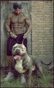 Tylenol poisoning in dogs and cats. Zobaw How To Put Down A Dog Painlessly