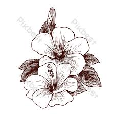 Menakjubkan 17 sketsa lukisan bunga anggrek di 2020 dengan. Bunga Lukisan Garis Elemen Grafik Psd Percuma Muat Turun Pikbest