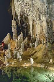 The Caves Of Carlsbad Carlsbad Caverns National Park Carlsbad Caverns National Parks
