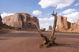 See more ideas about arizona, arizona travel, pictures. Monument Valley Arizona Free Photo On Pixabay