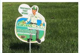 Learn about 3 common texas lawn pests and how you can stop them from destroying your lawn. Locally Owned Operated Lawn Care Company Grassroots Tree And Turf