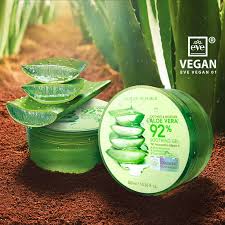 Image result for Aloe