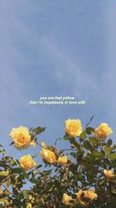 Love quote tumblr weve researched over 1000 quotes and analyzed data from twitter and tumblr in order to find you the best bits of. Tumblr Girl Love Quotes And Tumblr Wallpaper Image 7093226 On Favim Com