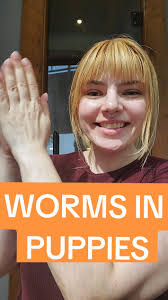 A new puppy in the house? 🐕 Make sure to not bring in any unwanted guests  with your pup 🪱 Learn how to deworm your puppy naturally 🌿 #deworming  #newpuppycheck #parasites #petsoftiktok #puppies