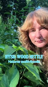 Nettle Food
