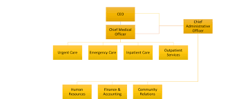 Circular Employee Org Chart Western Digital Organization