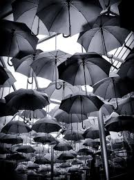 Black And White Umbrella Wallpaper Umbrella Xray By Lee Scott 500px Black And White Pictures White Photography Black And White Photography