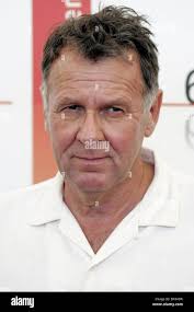 Wilkinson tom hi-res stock photography and images