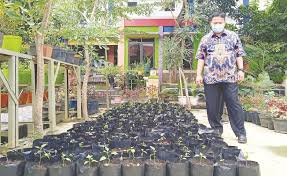 Maybe you would like to learn more about one of these? Produktif Smpn 6 Kota Tangerang Hasilkan Bibit Sayur