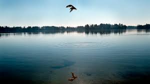 Image result for Lake Chargoggagoggmanchauggagoggchaubunagungamaugg