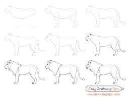 How To Draw A Lion Full Body Step By Step Easydrawingtips Paw Drawing Face Side View Drawing Drawings