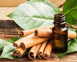 Cinnamon essential oil