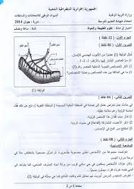 picture science education pictures