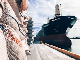 Tereos e Porto Commodities realizam primeira exportação de açúcar pelo  Porto de São Francisco do Sul (SC) – JornalCana