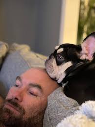 Thanks for the add here is my baby grey Freddie he is 8 months old, he  loves cuddles and exploring he hates my husband 🫣🤣🤣 our 13 year old grey  dudey hates me lmao