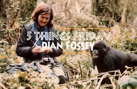 Artículos, fotos, videos, análisis y opinión sobre dian. Dian Fossey Dian Fossey