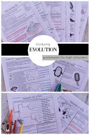 These Pages Are Terrific For Mid To Higher Level Biology High School Students To Review Their Understand High School Biology Classroom Planning Biology Lessons