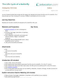 The Life Cycle Of A Butterfly Lesson Plan Education Com Lesson Plan Education Com Butterfly Lesson Plans Kindergarten Lesson Plans Butterfly Lessons