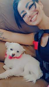 Chihuahua owners sharing their love and affection