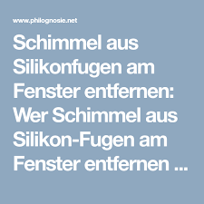 Schimmel Aus Silikon Silikonfugen Am Fenster Entfernen Philognosie Silikon Fugen Schimmel Silikon