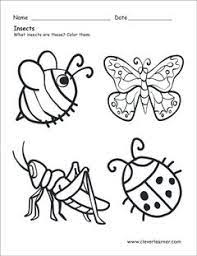 Insect Coloring Sheet Insects Preschool Insects Bugs Preschool