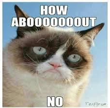 Grumpy Cat Funny Grumpy Cat Memes Grumpy Cat Grumpy Cat Humor