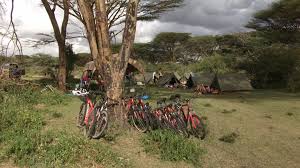 Mountain biking will work entire body with emphasis on legs, upper body, and core muscle groups. Mountain Biking To And In The Masai Mara Safarifrank Kenya Enquire