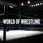 Profile Picture of WOW26 - Joshua Slayter Vs. Pierce Larkin (@joshuadavidling.com) on Google